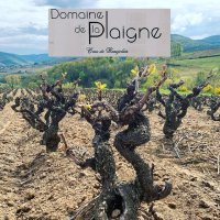 Domaine de la Plaigne