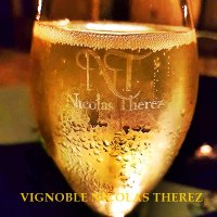 Vignoble Nicolas Therez